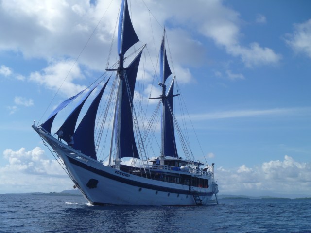 Ombak Puith with sails 2