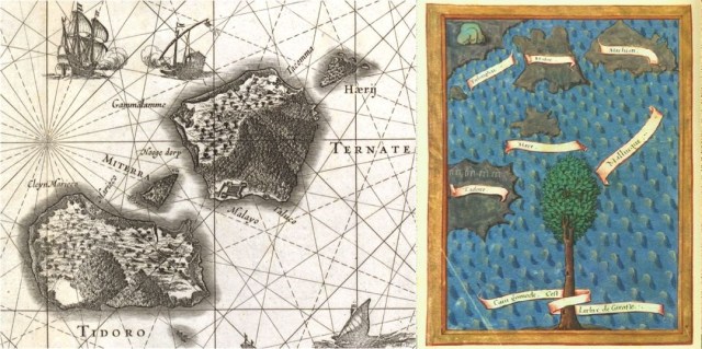 Clove islands ternate tidore