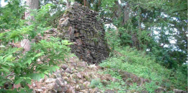 Remnants of Fort Henricus