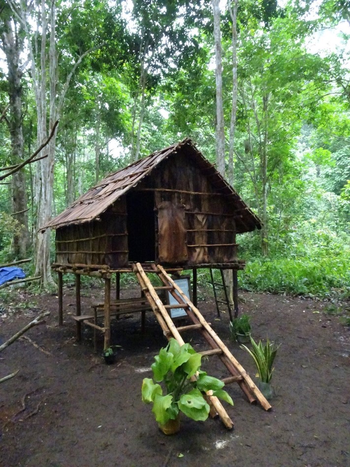 wallaces hut 2