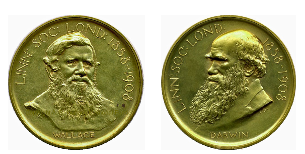 Wallace Darwin Medal