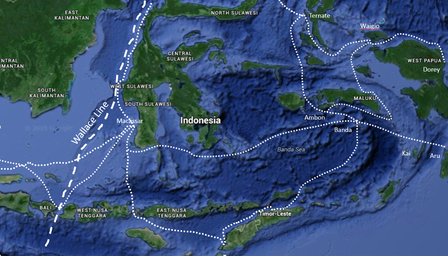 Wallace Voyages