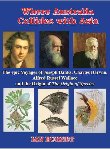 Cover 8