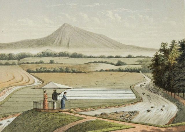 COLLECTIE_TROPENMUSEUM_Uitzicht_op_de_Pangerango_vanuit_de_plantentuin_in_Buitenzorg_TMnr_3728-812